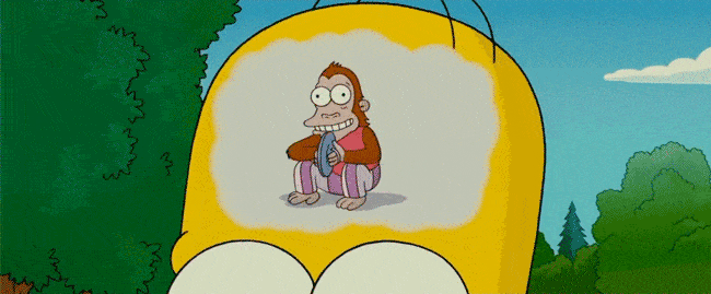 funny gif